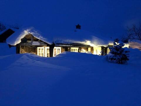 Adventurous log cabin at Vågsli