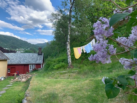 Charming cabin by the sea