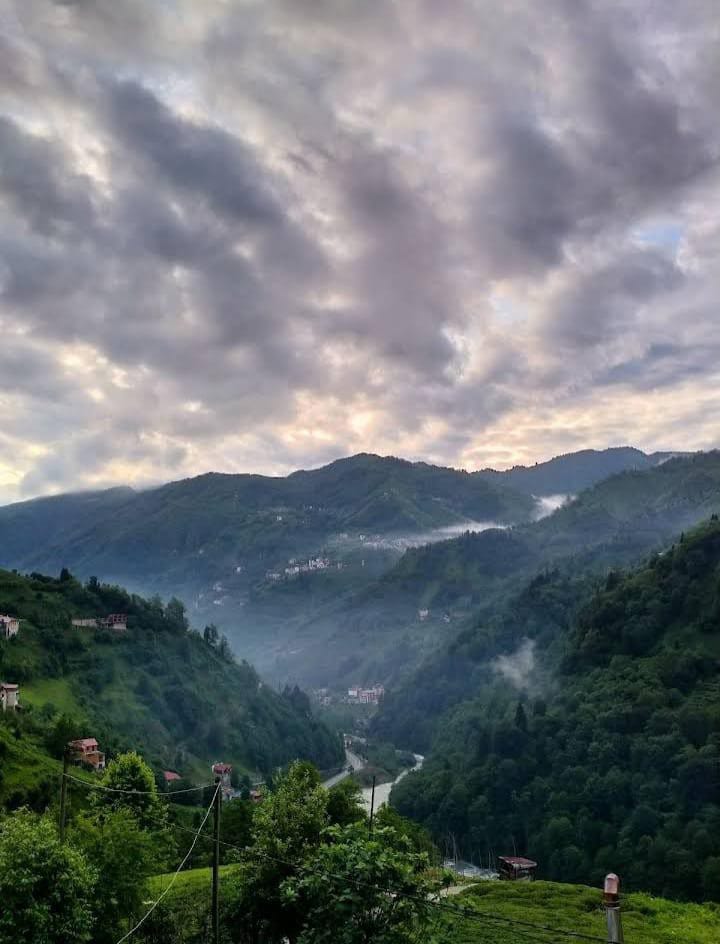 A serene landscape showcases rolling mountains shrouded in mist, with a winding river cutting through the lush greenery. The sky is filled with varying shades of gray clouds, hinting at the tranquil atmosphere of the surrounding nature.