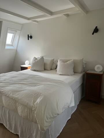 Beautiful home adjacent to Vondelpark gallery image 3