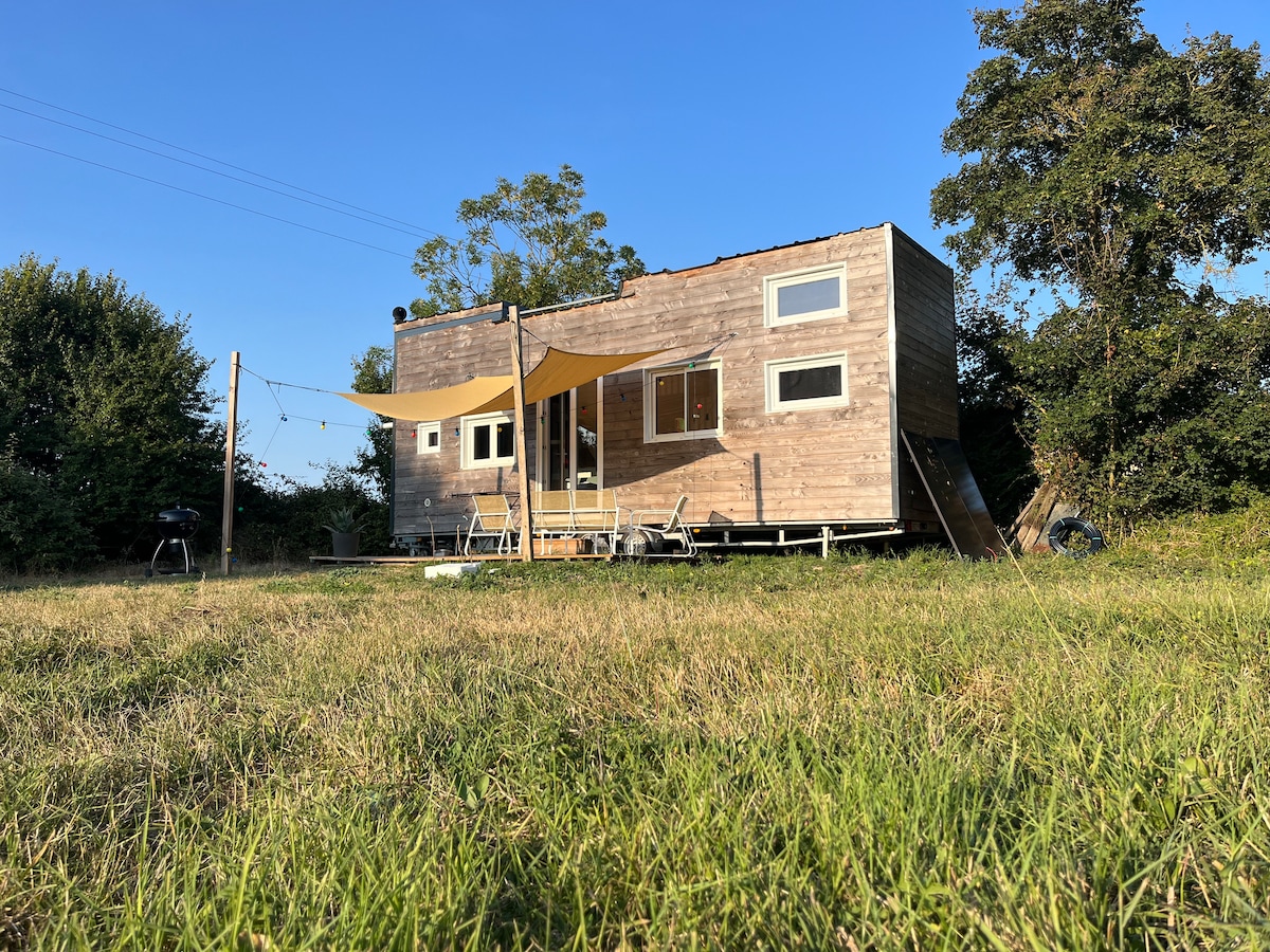A tiny house constructed from natural materials is set amidst lush greenery. Large windows allow ample natural light, while a sunshade extends over the outdoor seating area. A barbecue grill is also visible, offering options for outdoor cooking.