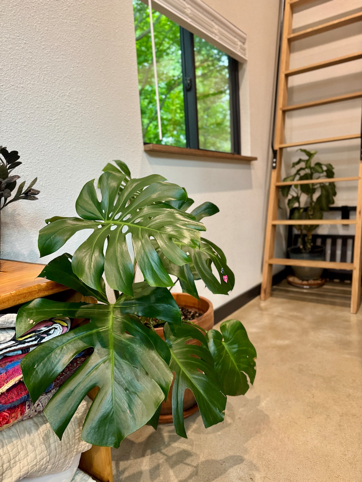 Cozy, Private & Quiet: Near UT & downtown-East ATX