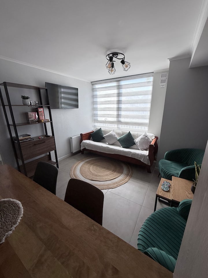 Departamento Tranquilo Y Moderno - Punta Arenas