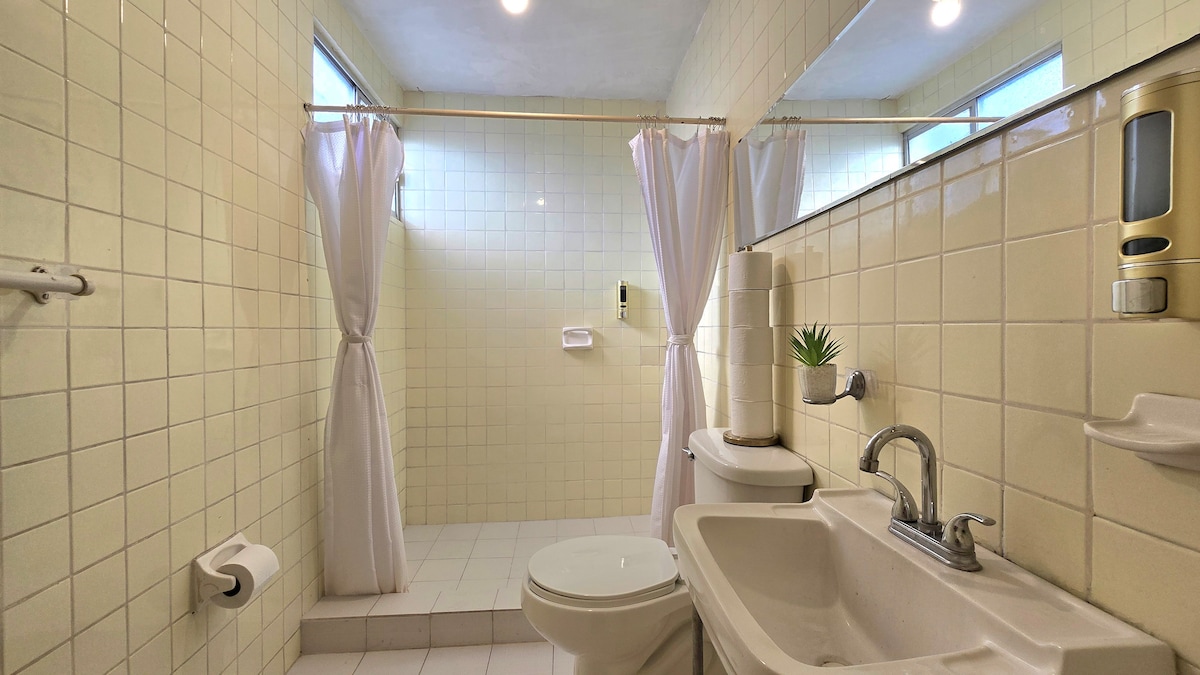 A clean and functional shared bathroom is featured, with a shower area surrounded by white tiles and light curtains. A modern sink and toilet are visible, complemented by a small plant on the counter. Natural light filters through the windows.