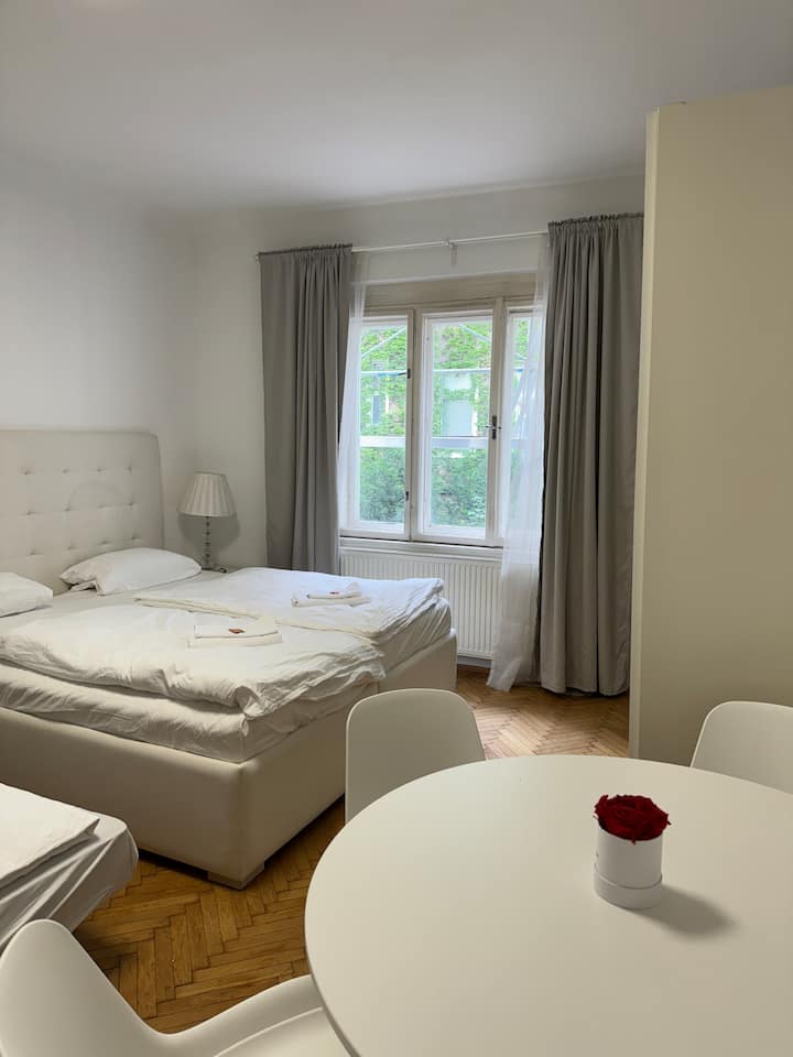 Modern Studio Flat /W Balcony Tg8 - Viena