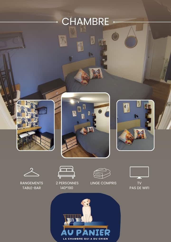 La Chambre Qui A Du Chien. - Marne