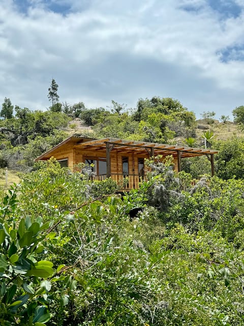 Mini house in wood x 4