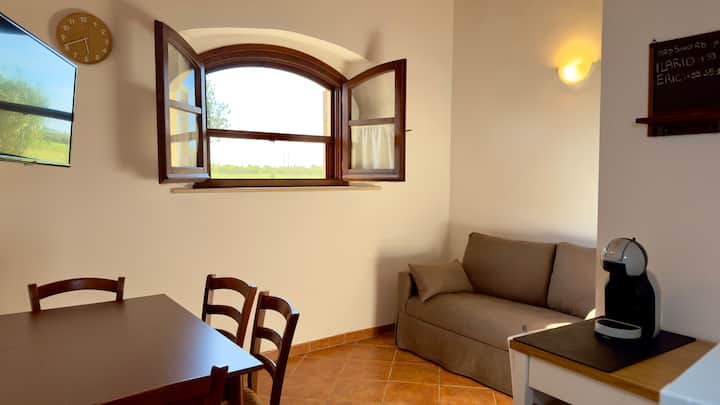 Pianferrari Agriturismo En Maremme - Marina di Grosseto