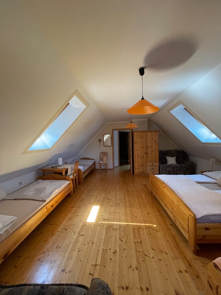 Ruhiges Almhaus Naturparadies Auf 900m Alleinlage - Austria