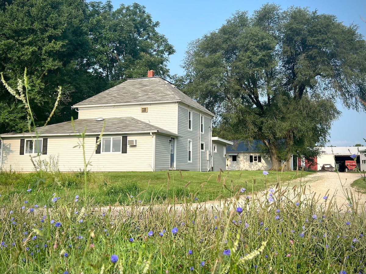 A charming early 1900s farmhouse is set amidst grassy fields and blooming wildflowers. The two-story structure features light-colored siding, a sloped roof, and large windows. Nearby, a gravel driveway leads to additional buildings, shaded by mature trees in the background.