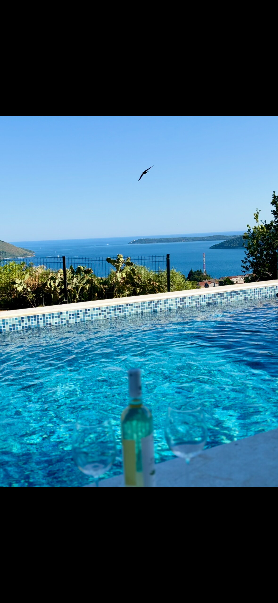 A serene private pool showcases sparkling blue water, with a stunning view of the sea and distant coastline. A bottle of wine and two glasses rest on the edge of the pool, inviting relaxation and enjoyment amidst the tranquil surroundings.