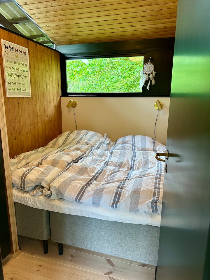 Habitación 1
