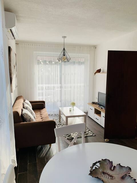 Successful Airbnb property: Villa Carlos in Dobra Voda Dio