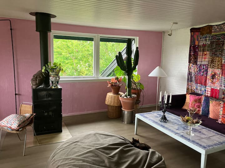 منطقة المعيشة