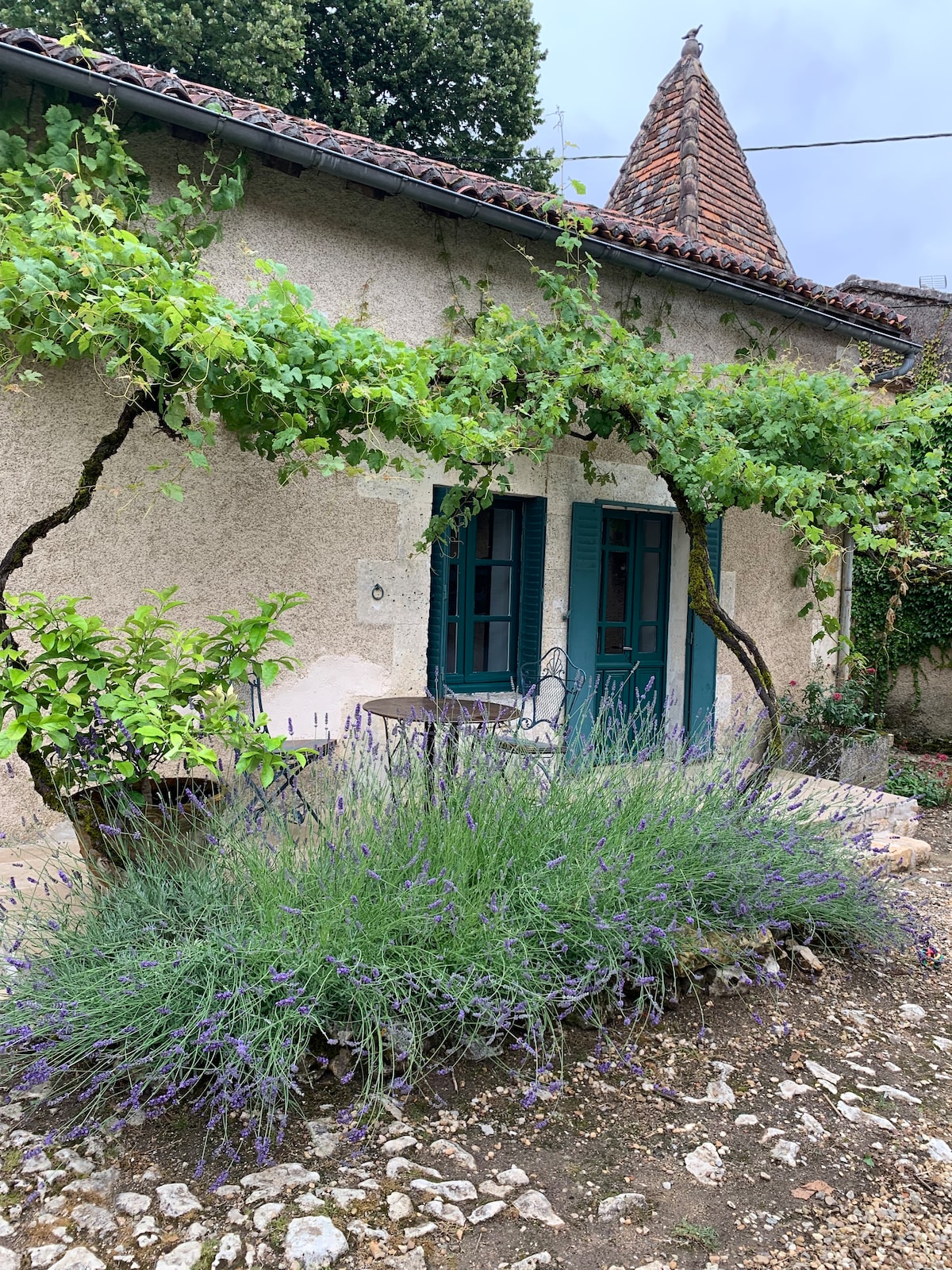 An outdoor view features a charming entrance adorned with a lush canopy of greenery. Lavender plants create a soft purple hue in the foreground, while the building displays traditional stone walls and blue shutters. The roof is topped with a decorative spire, adding to its character.