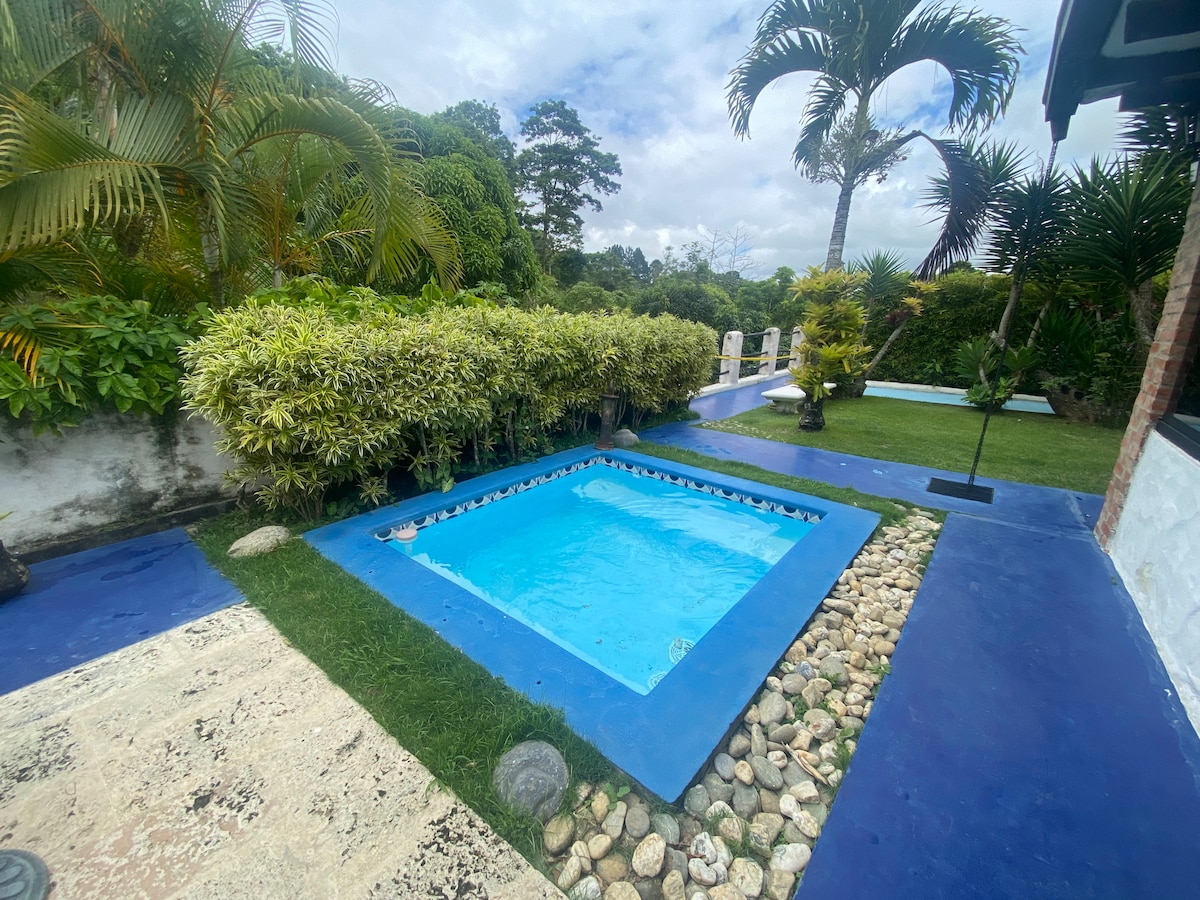 A private outdoor area features a small, rectangular plunge pool surrounded by vibrant greenery and decorative stones. Palm trees and shrubs provide a lush backdrop, while a smooth path leads to additional landscaping. The space is designed for relaxation and tranquility.