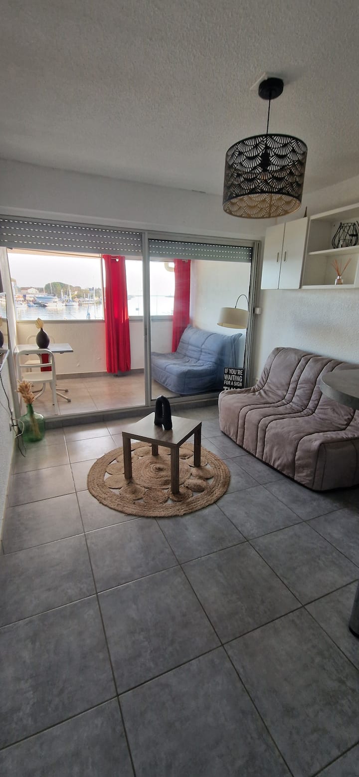 Studio Climatise Vue Mer La Tamarissiere - Vias