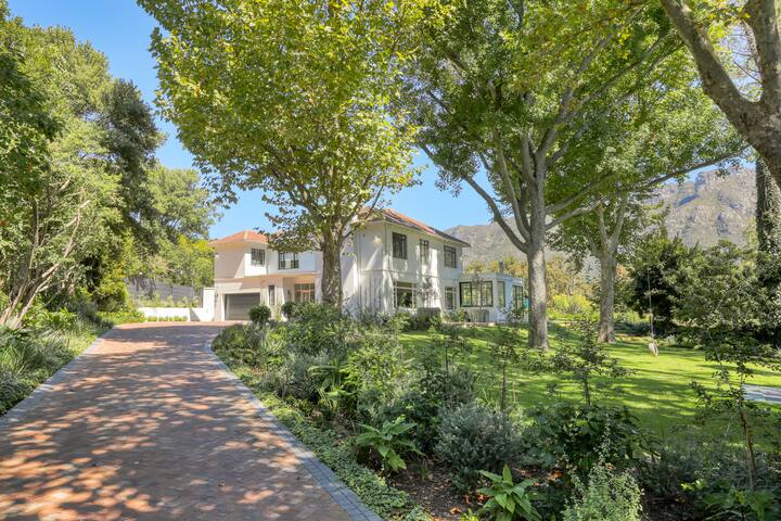 Magnificent family home in leafy Bishopscourt gallery image 3