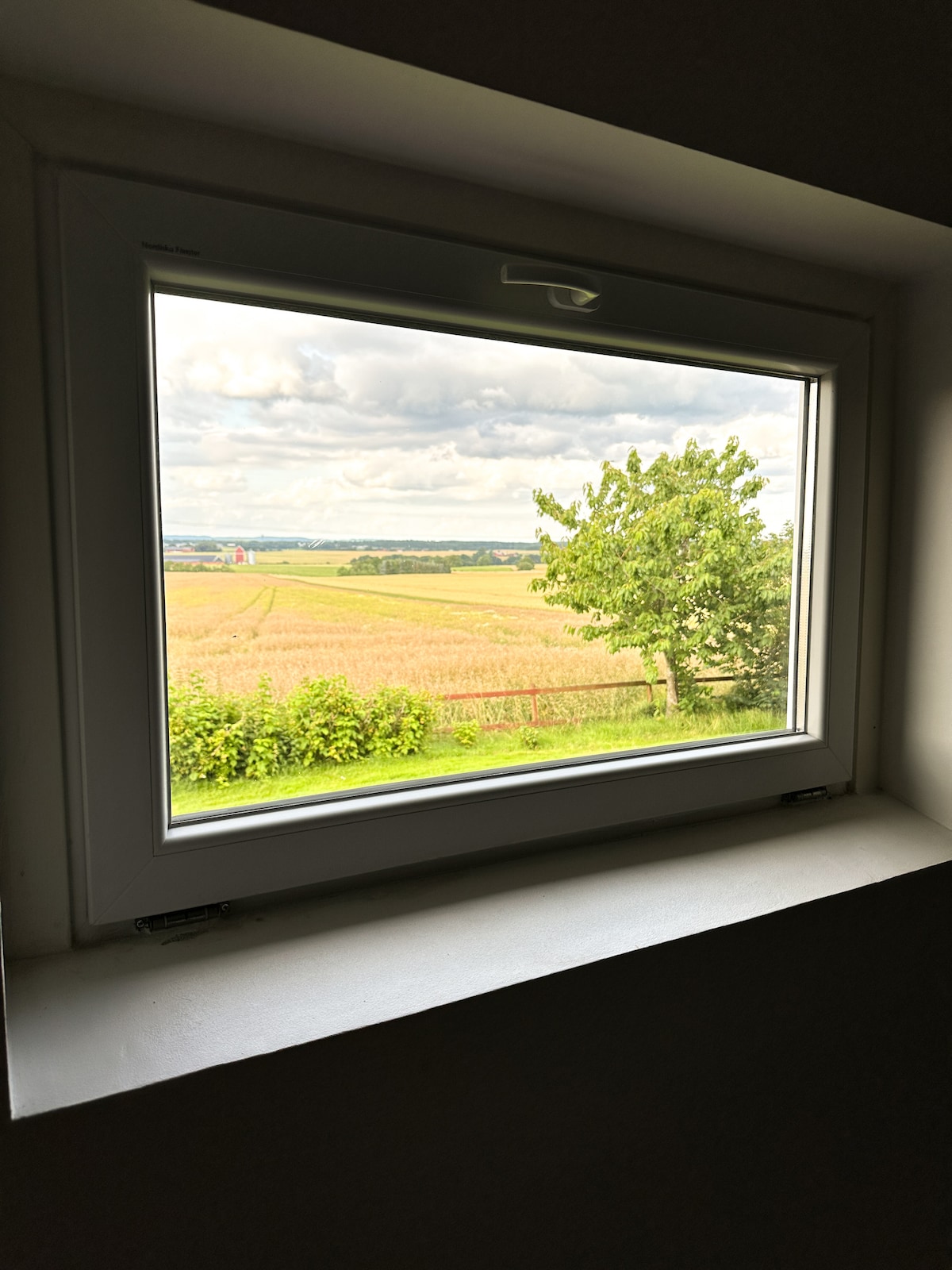A window frame outlines a scenic view of rolling fields and greenery. Soft clouds drift across the sky, while a solitary tree breaks the horizon, creating a serene backdrop to the rural landscape.