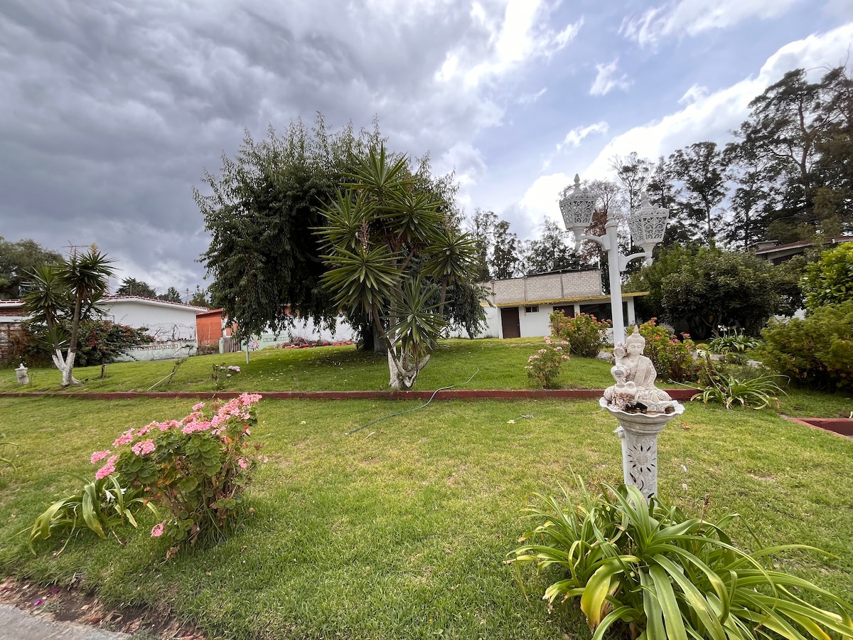 A lush front yard showcases a variety of greenery, including palm-like plants and vibrant floral accents. A white ornamental feature stands in the foreground, complemented by the neatly maintained lawn. The background features a charming house and additional landscaping under a cloudy sky.