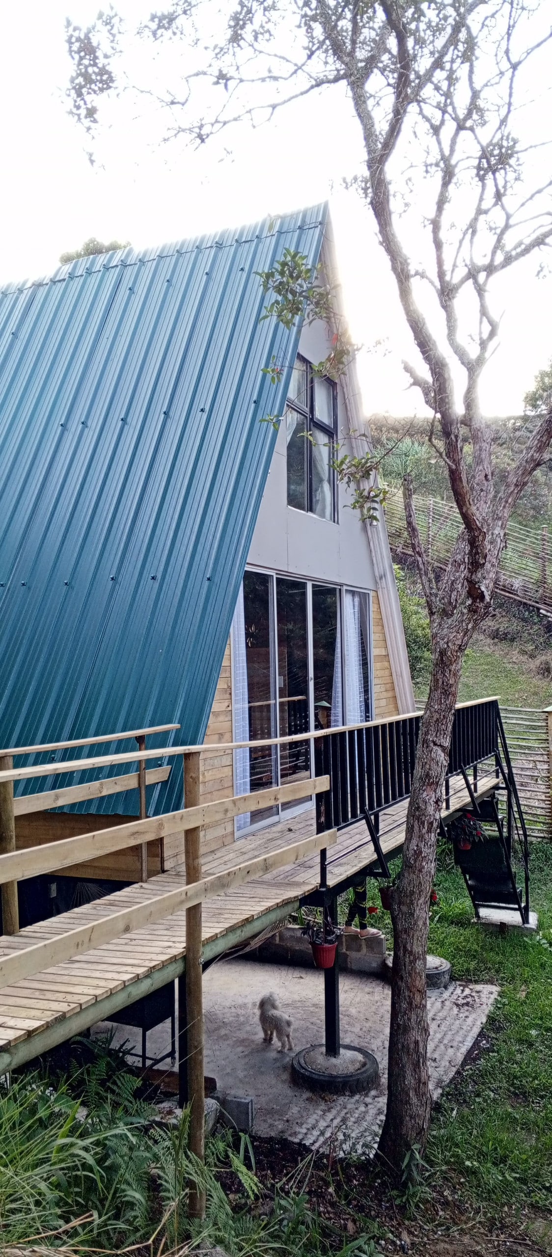 An A-frame house is shown, featuring a unique metal and wood exterior. Large windows reflect natural light and provide views of the surrounding greenery. A wooden walkway leads to the home, with a small platform beneath that includes outdoor seating.