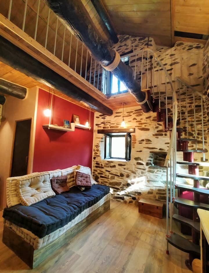 "Il Bosco"
Antico Essiccatoio - Liguria