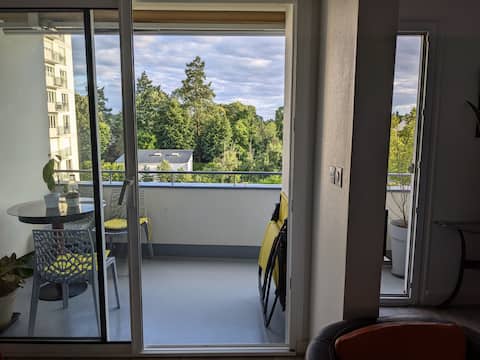 Charming and bright apartment near Co 'met