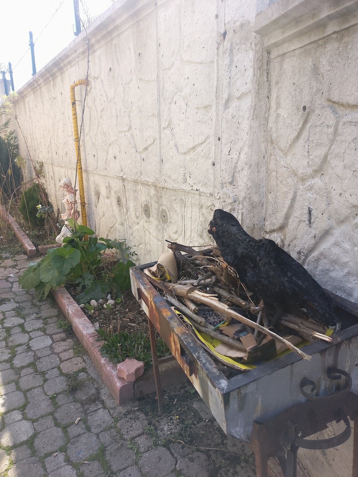 A rustic outdoor area features a metal frame holding collected twigs and branches, indicative of a casual garden aesthetic. Surrounding greenery includes plants and a stone wall, providing a natural setting. A yellow pipe is visible, adding to the overall character of the space.