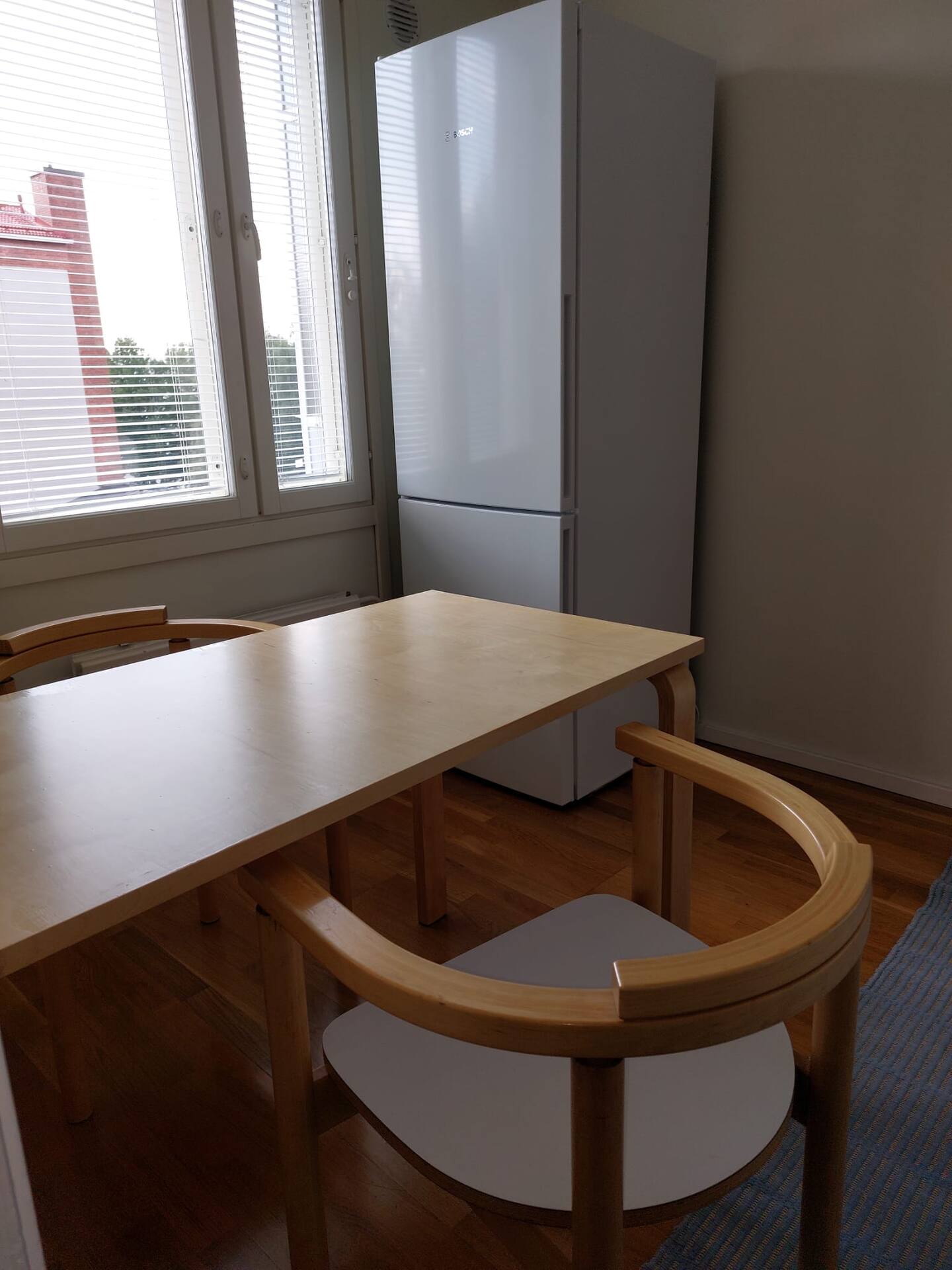 Spacious Newly Renovated Studio 4