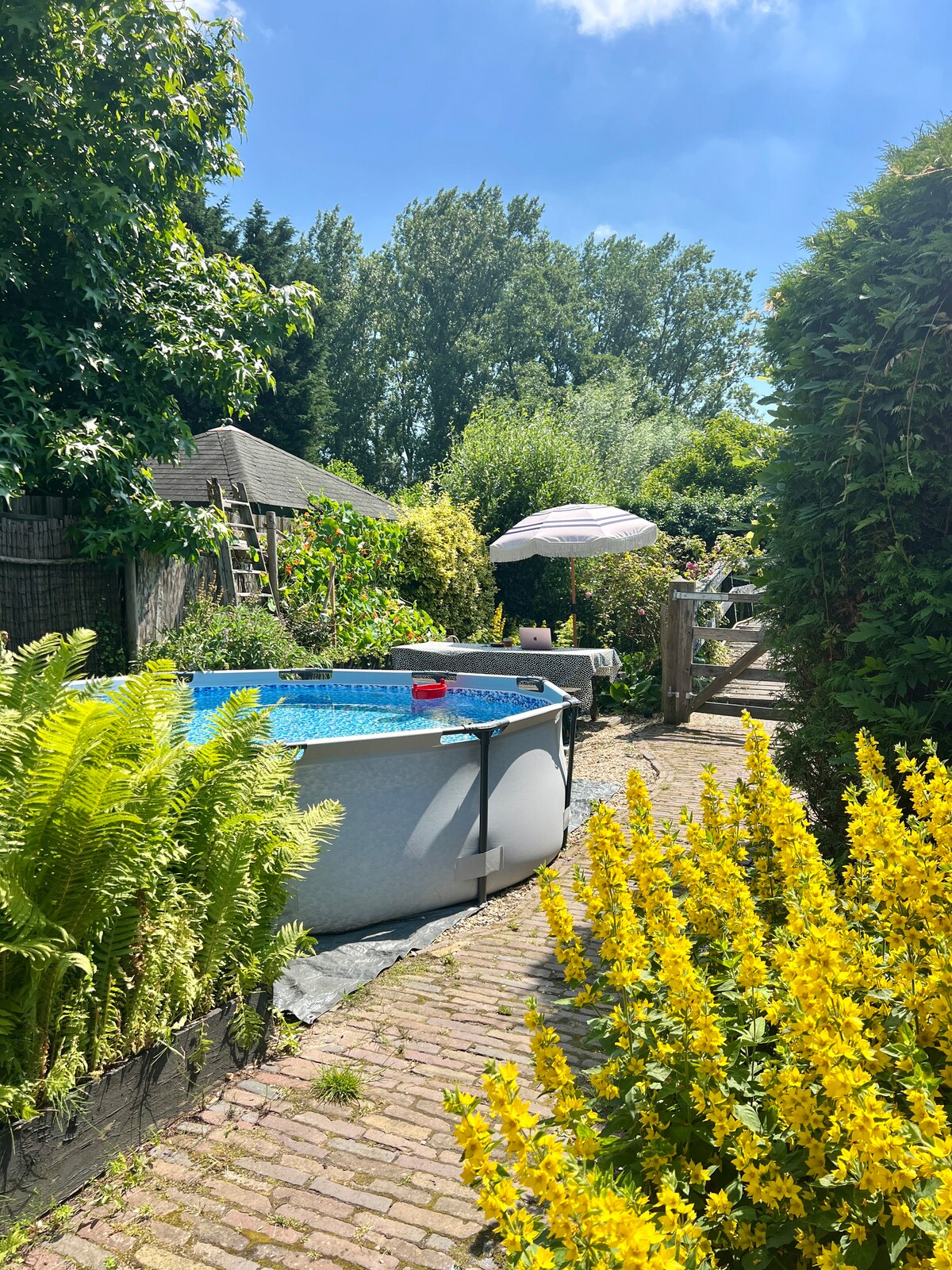 A small swimming pool is located on a brick pathway, surrounded by vibrant yellow flowers and lush greenery. An umbrella provides shade nearby, while a wooden structure and climbing plants can be seen in the background, enhancing the natural setting.