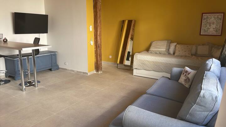 Studio Proche Station Thermale, Rivière Privée - Céret