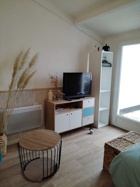 Top performing Airbnb: cozy seaside house in Bretignolles Sur Mer