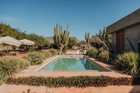 Casa De Zorros