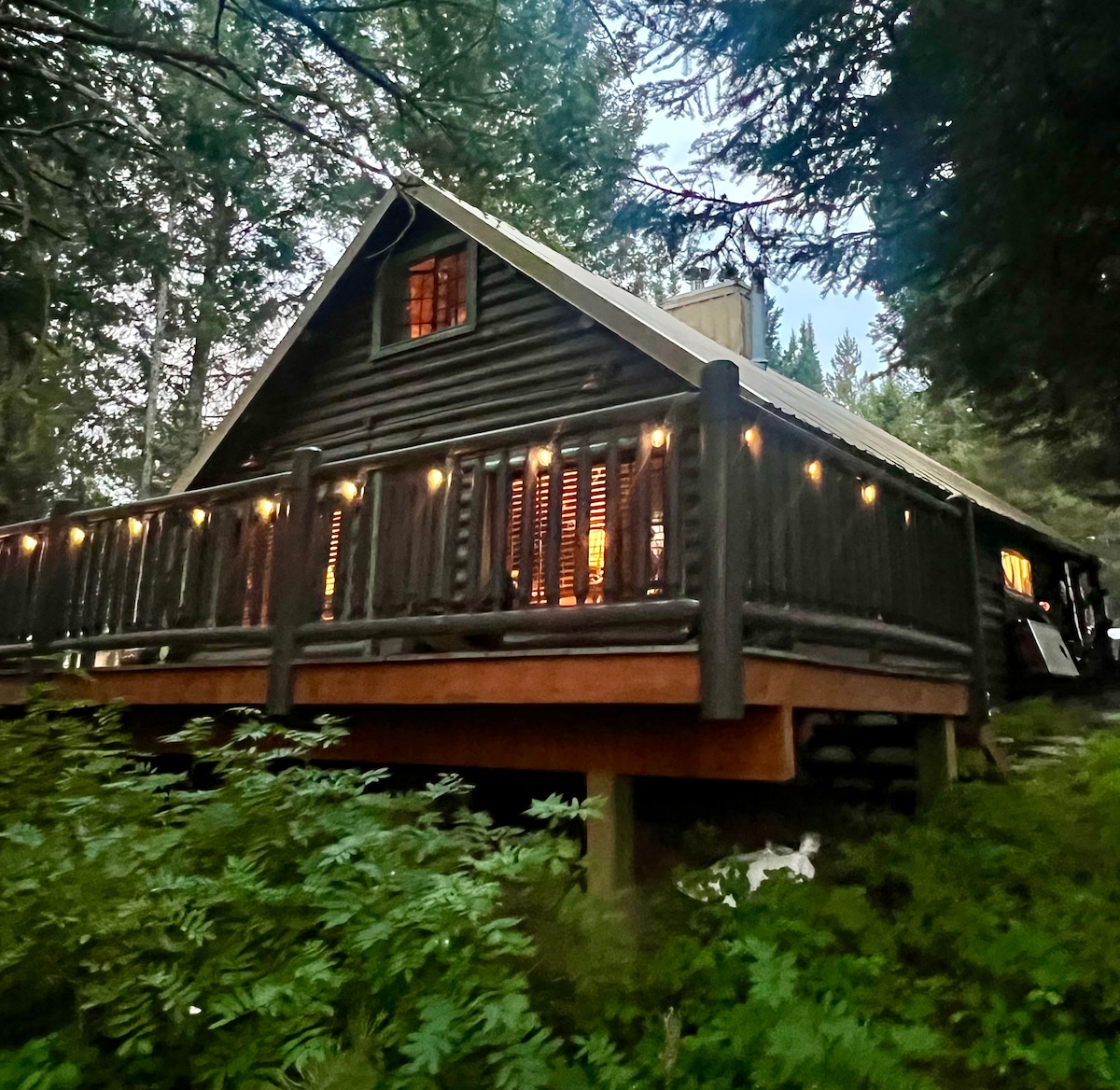 The log cabin is nestled among tall trees, featuring a spacious deck that is adorned with soft lighting. The sloped roof and rustic log exterior reflect the charm of early 20th-century architecture, while warm light glows from the windows, suggesting a cozy atmosphere inside.