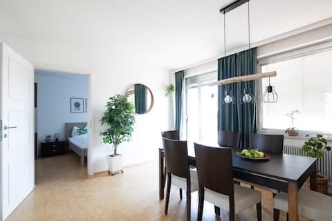 Penthouse apartment in Linz