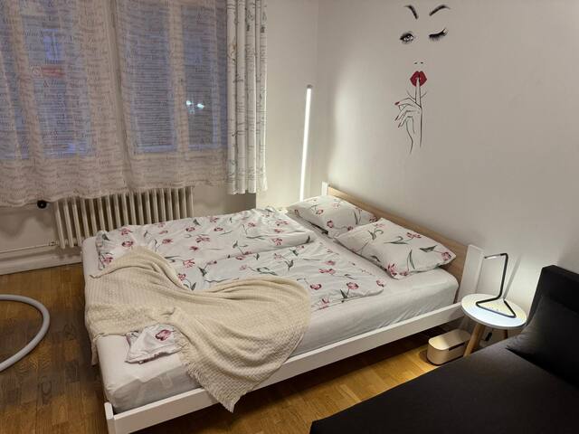 Glorious apartment in central Prague