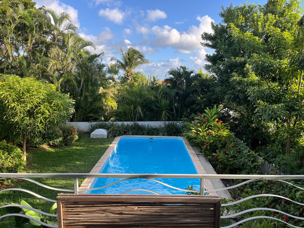 A clear view of a serene swimming pool is framed by lush greenery. Tropical plants and trees surround the pool area, creating a peaceful outdoor environment. The bright blue water contrasts with the natural landscape under a partly cloudy sky.