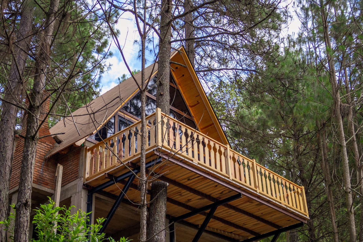 A charming cabin, elevated among trees, features a wooden balcony with decorative railing. The sloped roof, lined with natural wood, complements the rustic brick facade. Pine trees surround the structure, creating a serene and peaceful setting.