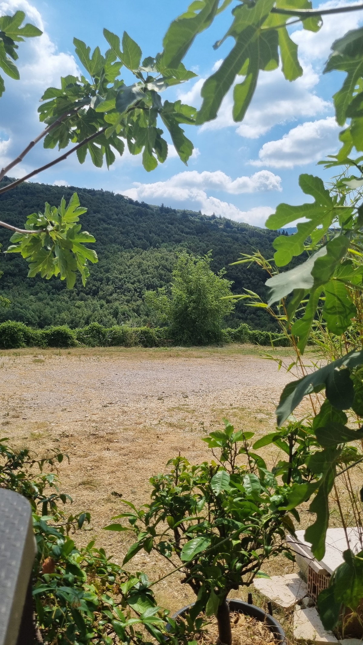 Appartamento privato vista Monte Baldo - 8 - Ossenigo