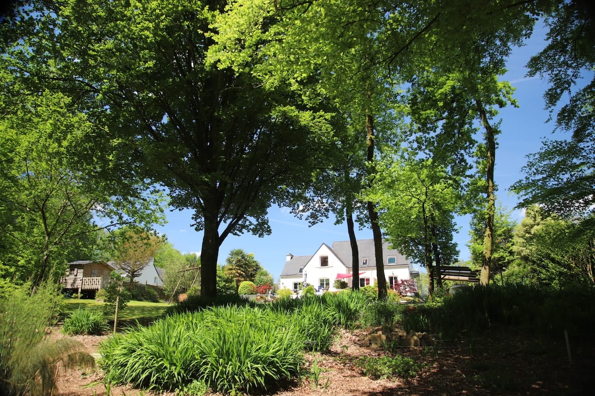 A serene outdoor setting features a lush array of tall trees and greenery. The house is partially visible in the background, framed by vibrant foliage against a clear blue sky. Natural elements create a tranquil ambiance, inviting relaxation and connection with nature.