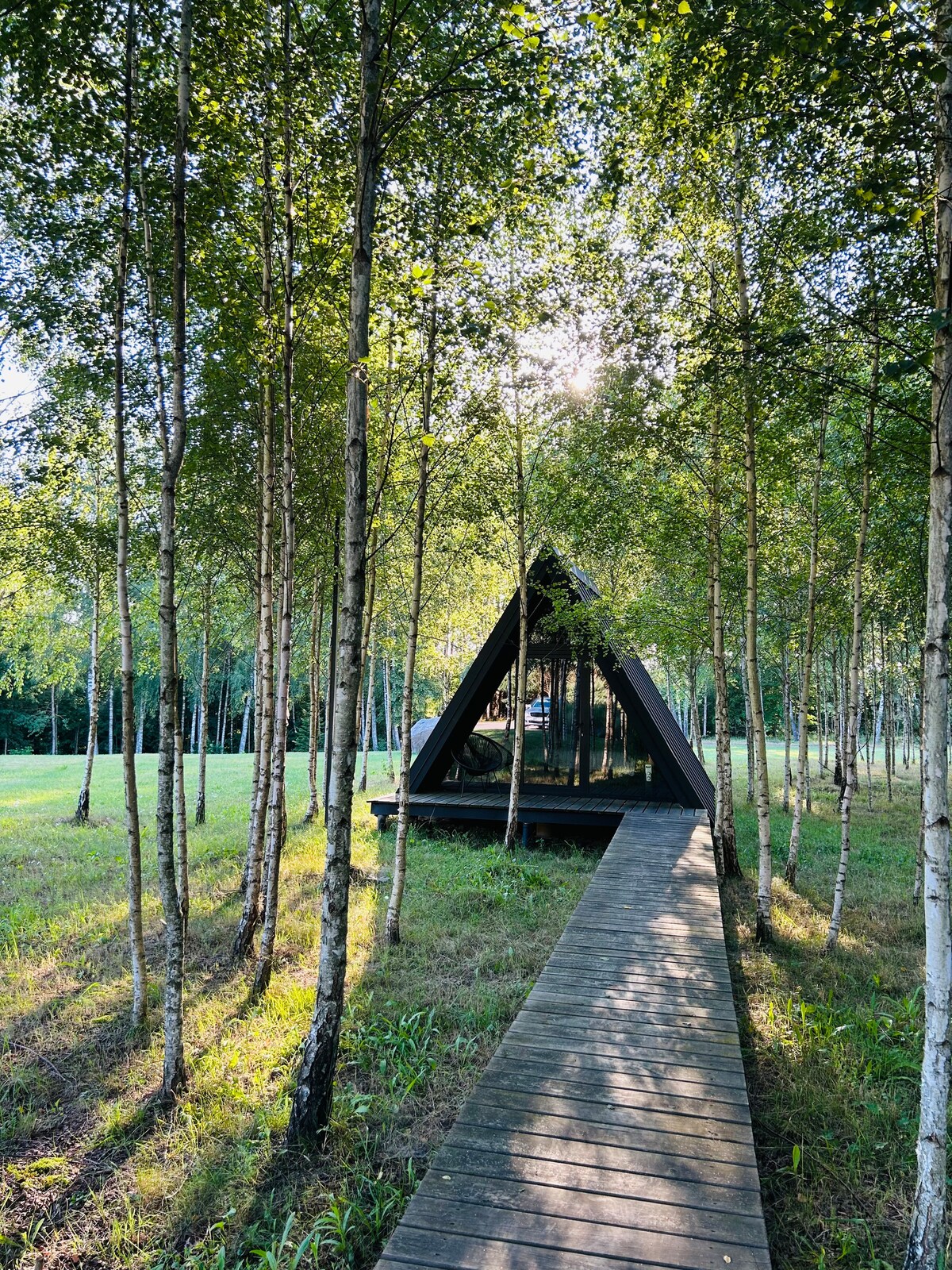 A wooden pathway leads through a grove of slender birch trees towards a striking triangular building. Sunlight filters through the leaves, illuminating the path and creating a serene atmosphere in the surrounding green landscape.