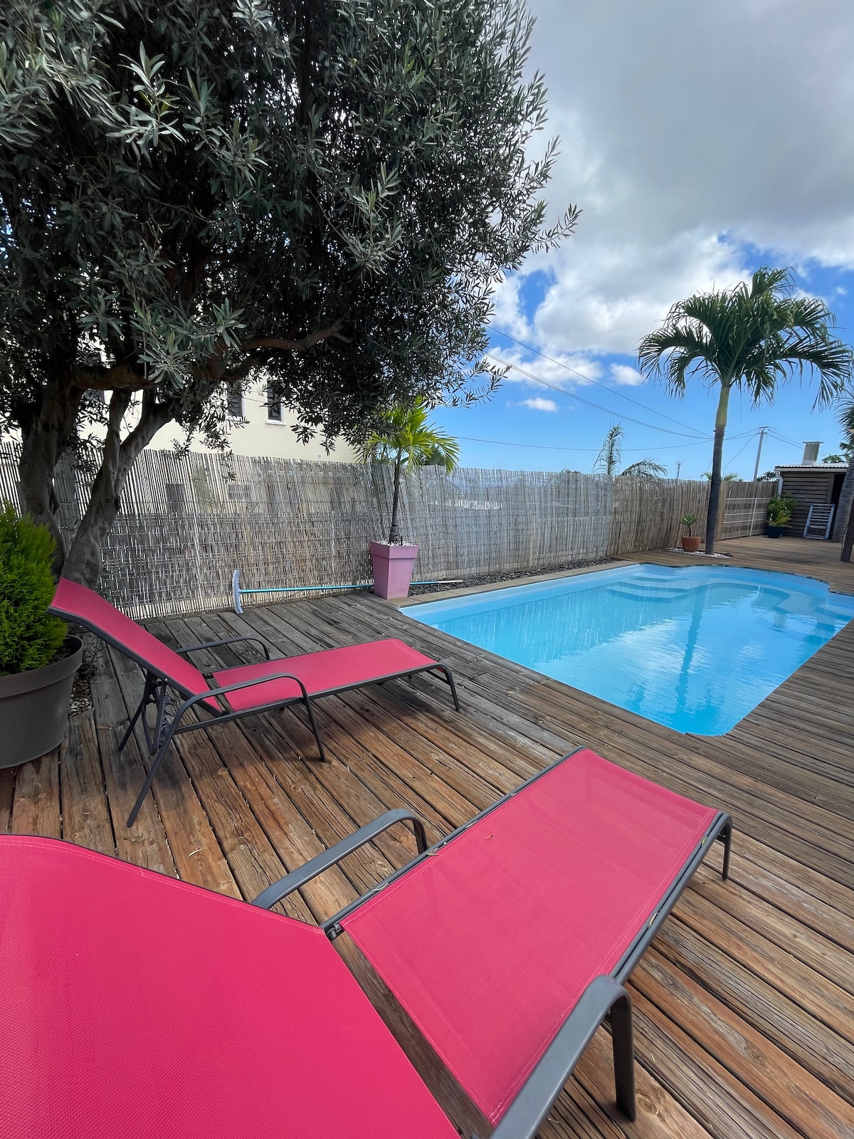 A tranquil outdoor area features a clear swimming pool surrounded by wooden decking. Two lounge chairs with red fabric are positioned for relaxation, accompanied by potted plants. A palm tree stands nearby, and the sky is partly cloudy, creating a serene atmosphere.