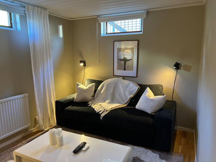 Cozy 1-bedroom Basement Apartment - Uppsala