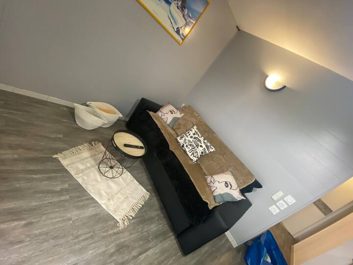 Le Carpe Diem T2 Rénové Piscine Parking, Clim Wifi - Balaruc-les-Bains