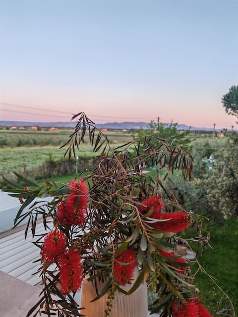 Top performing Airbnb: Podere Livrone with Pool - Tombolo in Bibbona