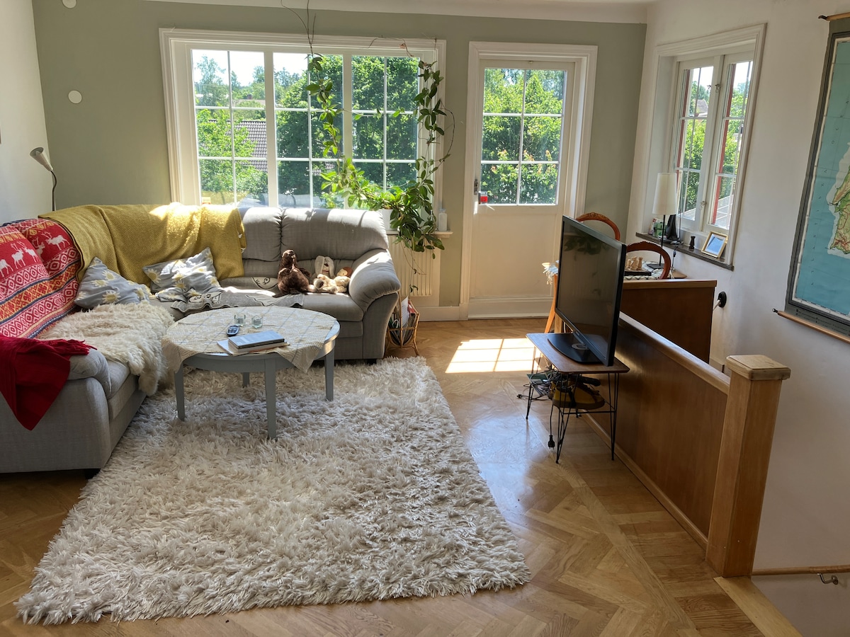 A bright living area is highlighted by large windows that invite natural light. A soft rug covers the floor, while a cozy sofa is adorned with colorful throws. A coffee table is positioned nearby, and a television stands adjacent, creating a comfortable communal space.