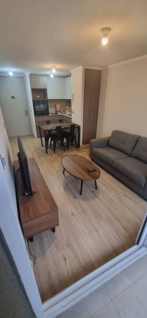 Comfortable and downtown apartment