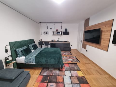 Top performing Airbnb: Tesla 1 in Donji Grad