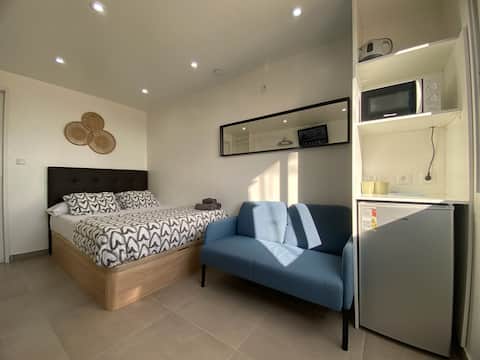 1 New penthouse with private bathroom in front of metro A12