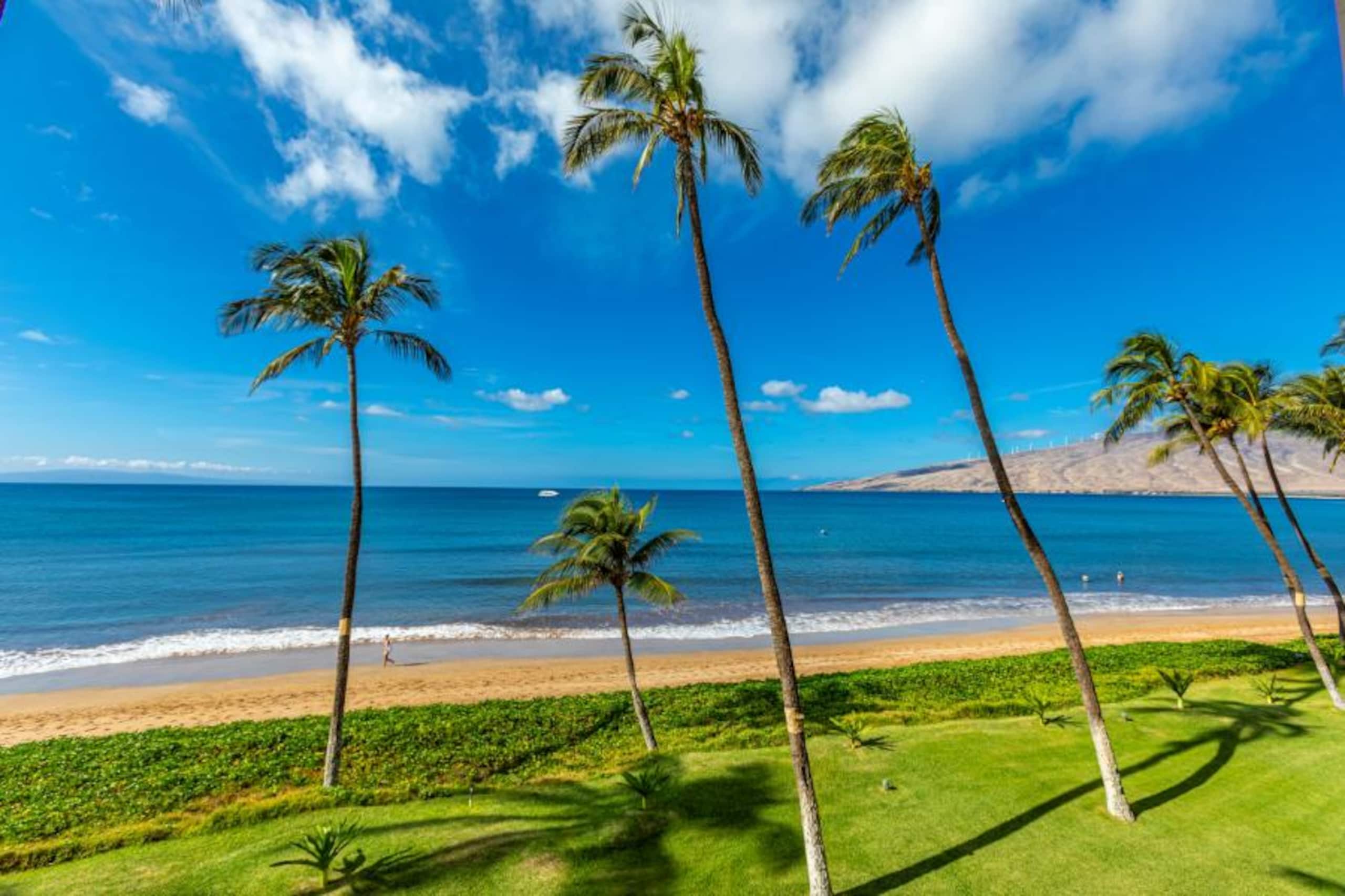 Condo in Kihei · ★5.0 · 1 bedroom · 2 beds · 1 private bath - Image 22